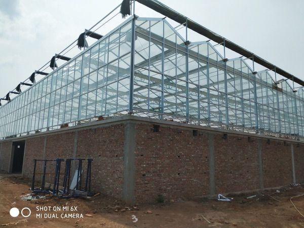 紋絡陽光板&mdash;玻璃溫室工程